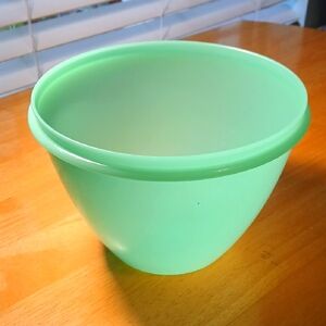 Vintage Tupperware Lettuce Keeper